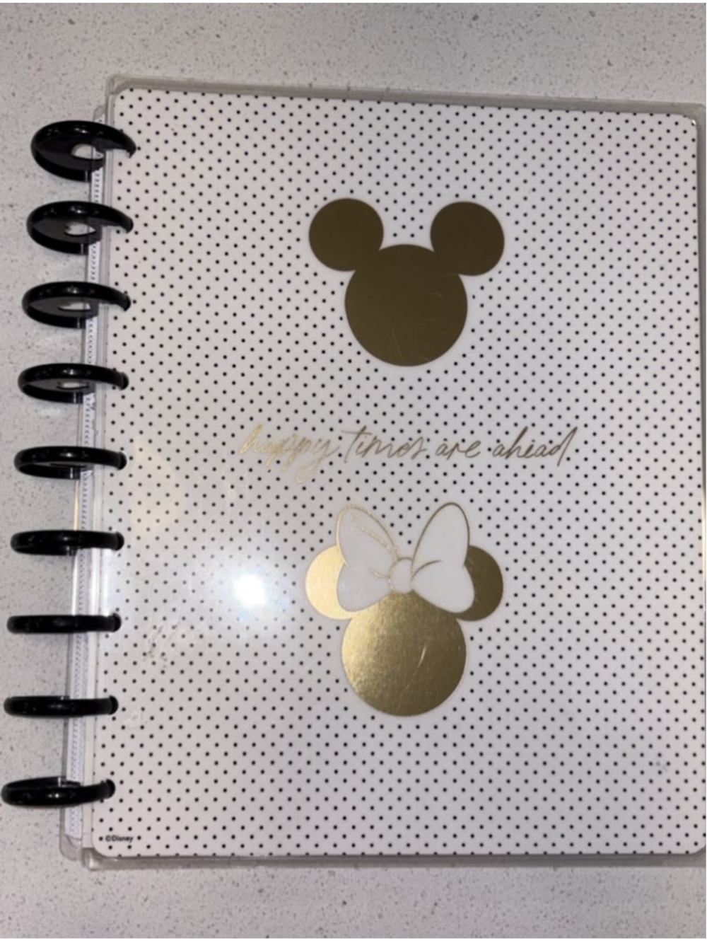 Disney Mickey Minnie The Happy Planner Disc Bound Undated Planner #N17a